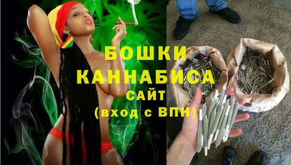 индика Бугульма