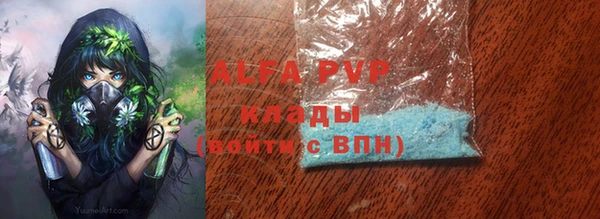 индика Бугульма