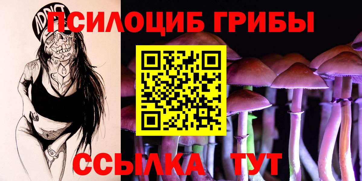 Галлюциногенные грибы прущие грибы  где купить наркотик  Галлюциногенные грибы мицелий  Гатчина  Вход с VPN 