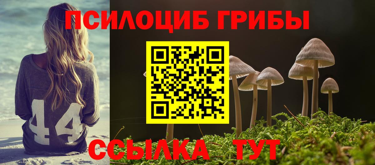 Галлюциногенные грибы MAGIC MUSHROOMS Гатчина