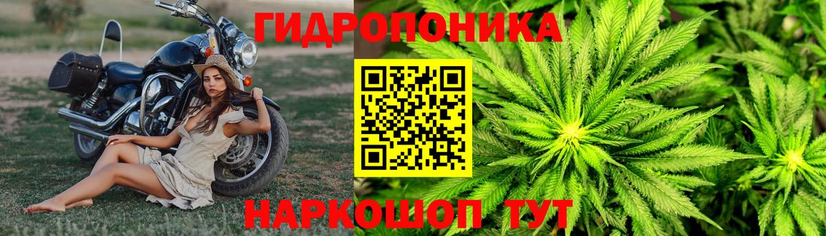 Каннабис MAZAR  Шишки марихуана семена  Вход с VPN  Марихуана OG Kush  Канабис THC 21%  Гатчина 